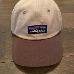 Patagonia Brown and Tan Cap